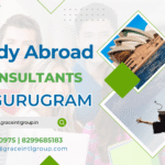 India to the World: How Grace International Turns Study Abroad Dreams into Global Careers